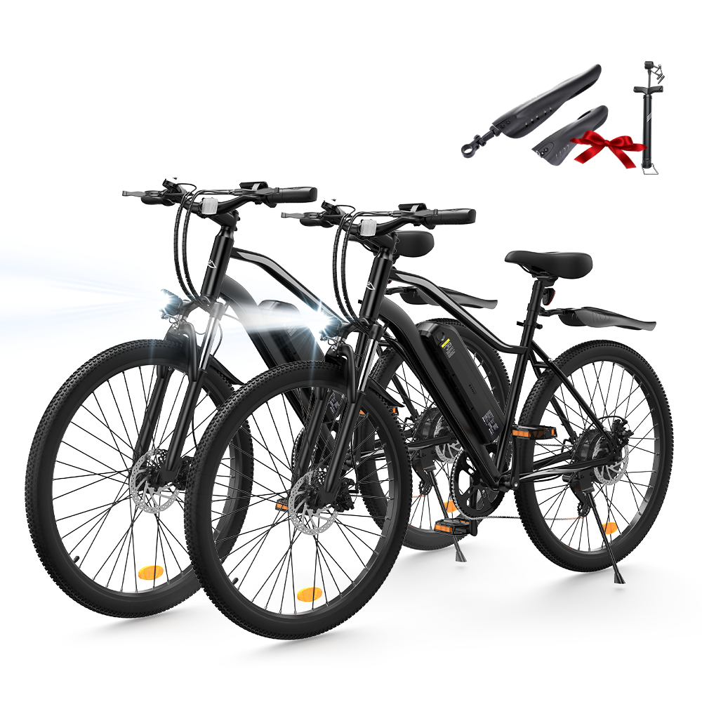 elektrisches mountainbike Elektrisches Mountainbike M10/EB3