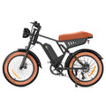 Vélo de montagne électrique R6