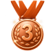 Medal Badge