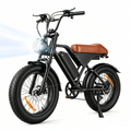 EB5Max 20 tommer retro terreng elsykkel
