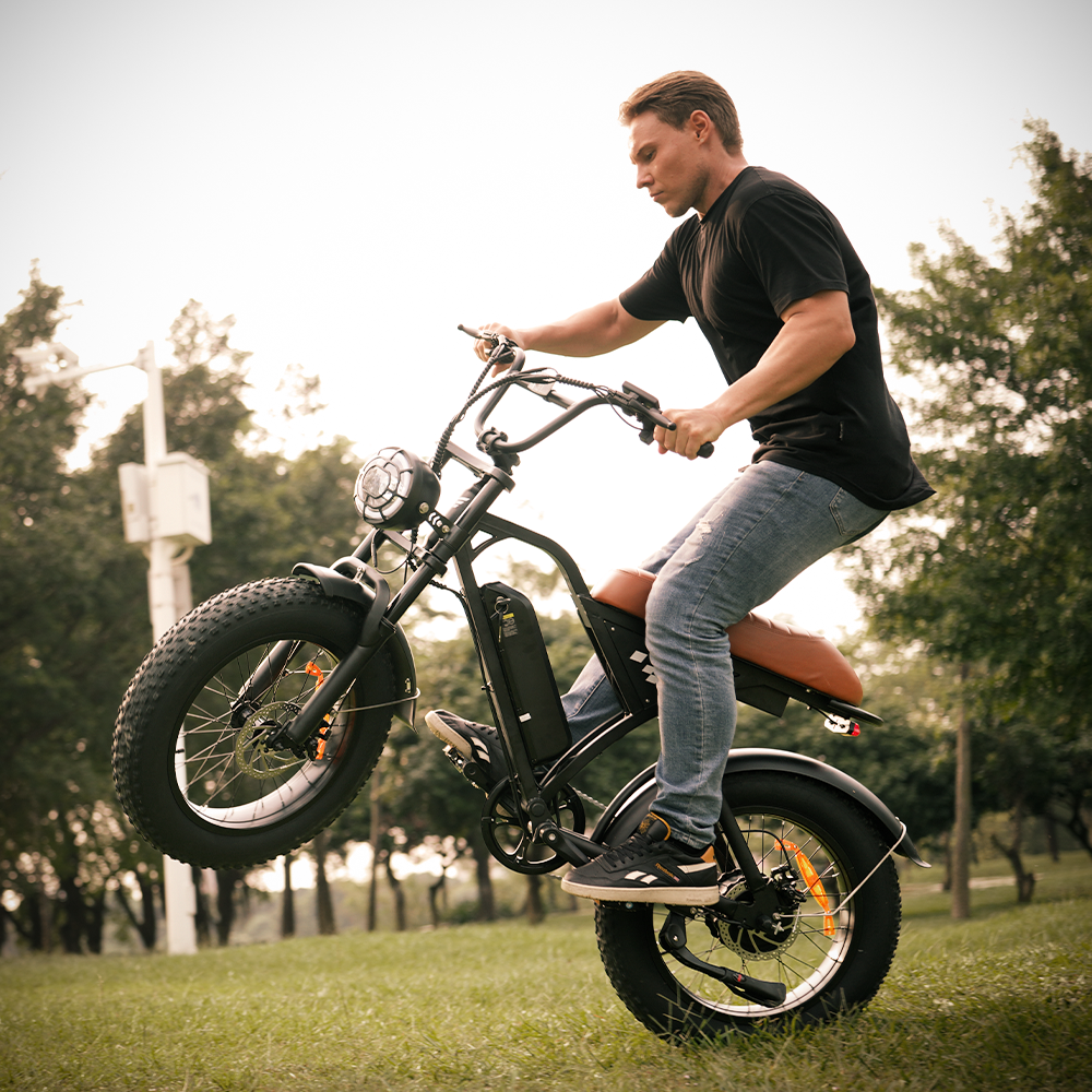 EB5Max 20 Inch Retro All-Terrain Electric Bike