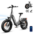 EB8 20" Fat Tire Folding Electric Bike with Torque Sensor