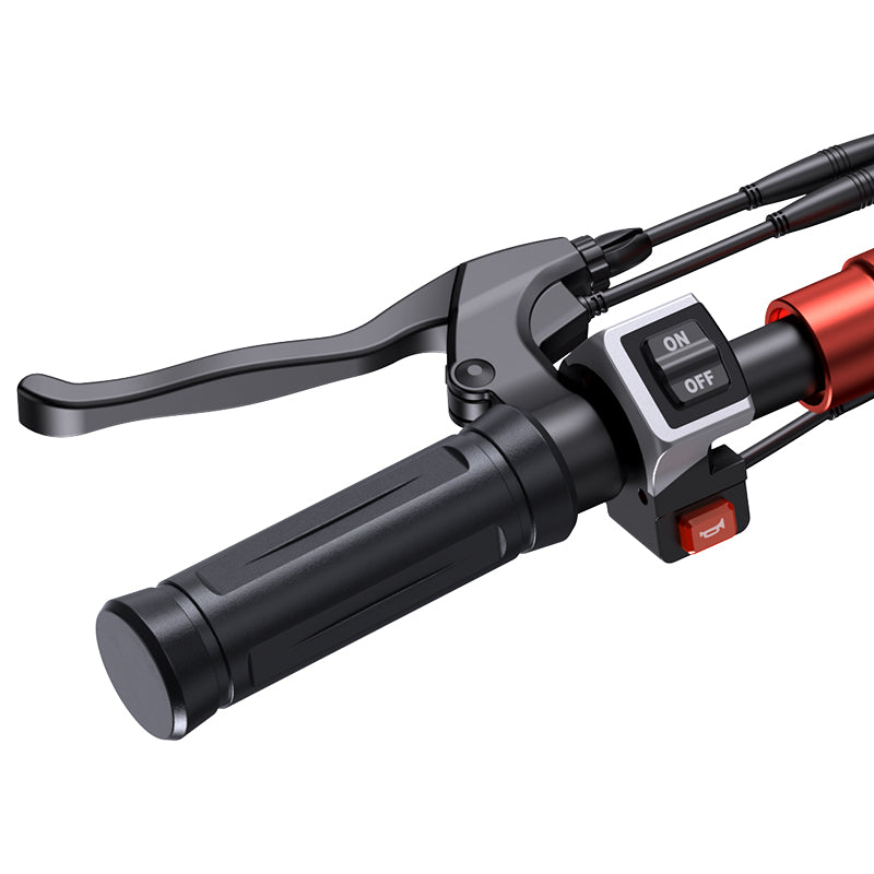 Scooter elettrico fuoristrada iScooter iX5S 1000W