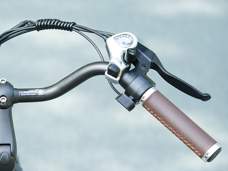 Super schnelles Lade -Elektrobike -Pedalassistent & Gashebel